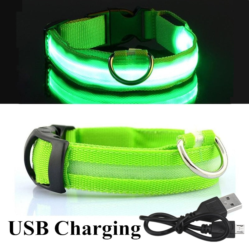 Adjustable LED Glowing Pet Collar - Flair