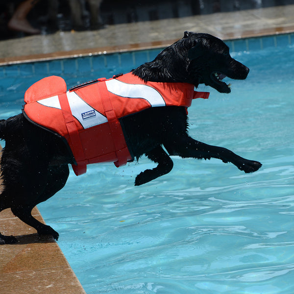 Mermaid Shark Pet Dog Swimming Life Vest Adjustable Dog Life Jacket for Small Large Pet Dog Summer Dog Life Aid Vest Swimwear