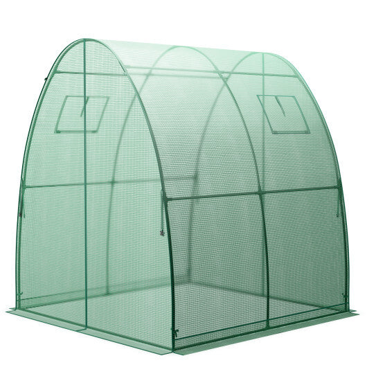 6 x 6 x 6.6 FT Outdoor Wall-in Tunnel Greenhouse