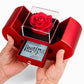 Valentine's Day Forever Love Necklace – Romantic Gift in Red Heart Rose Box - Dsflair