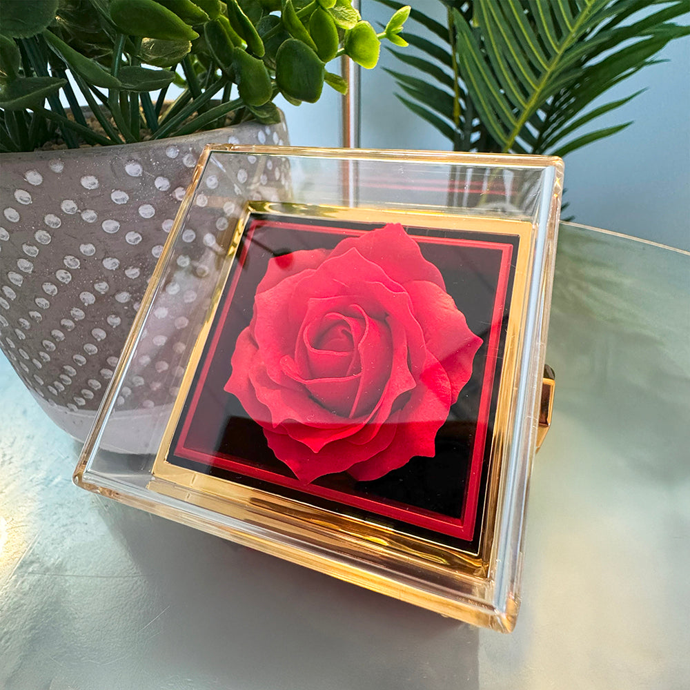 Love Knot with Rotating Rose Gift Box meticulously preserved rose that never fades - Dsflair