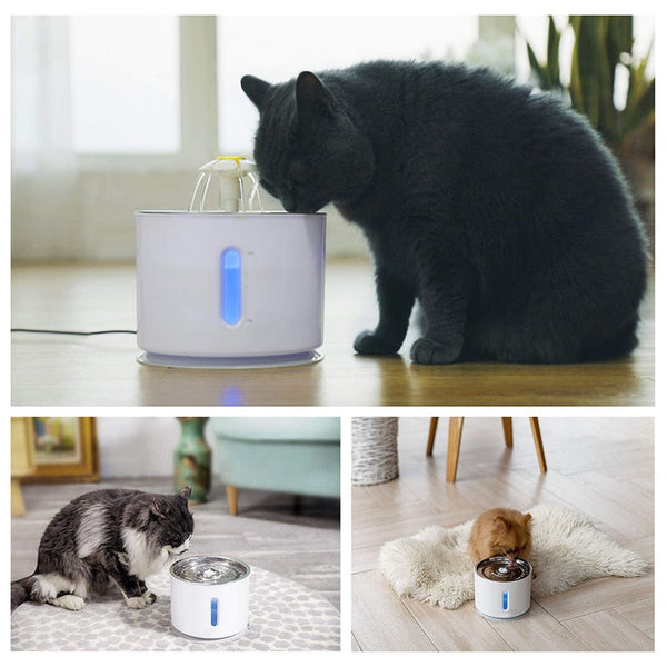 Cat Water Fountain -  Flair 