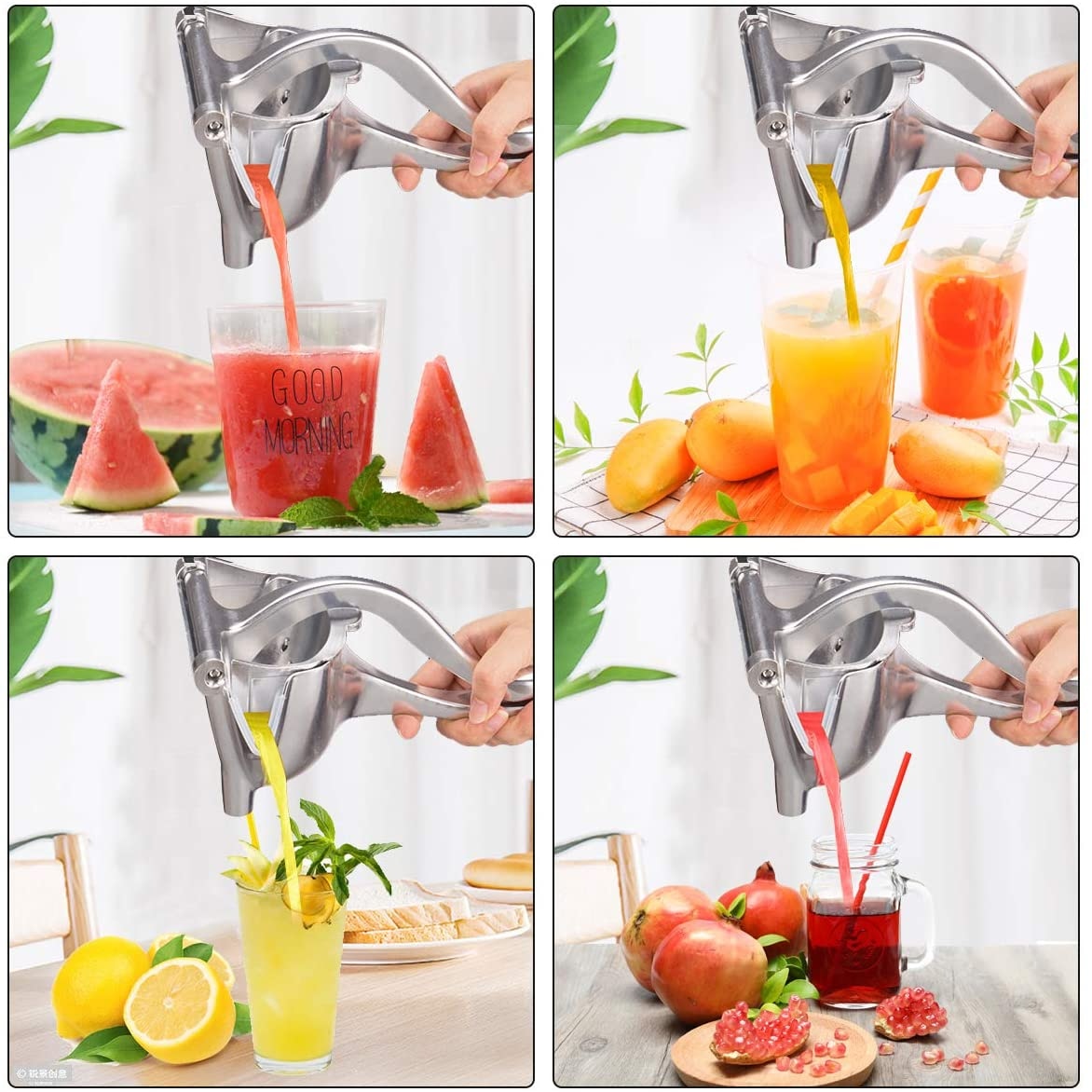 Manual Juice Squeezer -  Flair 