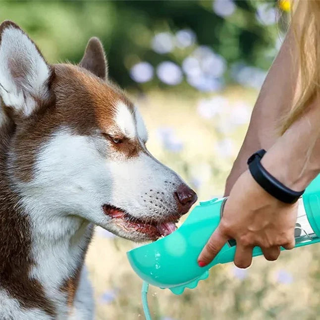 4-In-1 Portable Multifunctional Dog Waterer Bottle -  Flair 