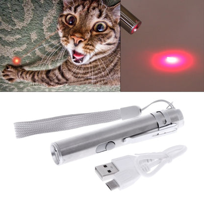 3 in 1 LED USB Rechargeable Laser Pointer -  Flair 