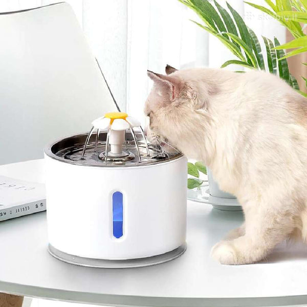 Cat Water Fountain -  Flair 